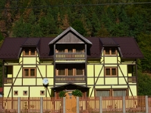 Pensiunea Masa Verde - accommodation in  Sibiu Surroundings (01)