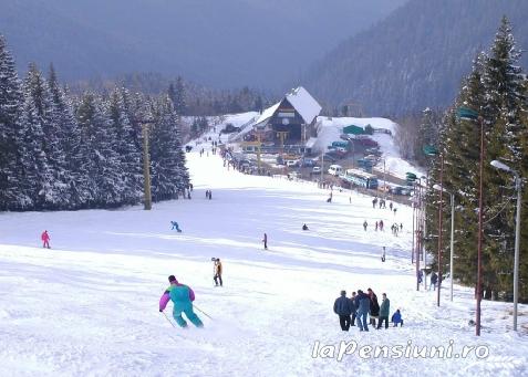 Pensiunea Masa Verde - alloggio in  Dintorni di Sibiu (Attivit&agrave; e i dintorni)