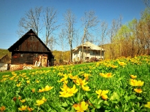 Pensiunea Tarina - accommodation in  Apuseni Mountains, Motilor Country (08)