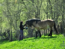 Pensiunea Tarina - alloggio in  Apuseni, Tara Motilor (11)