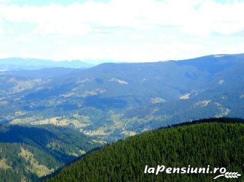 Pensiunea Dia Land - accommodation in  Apuseni Mountains (Surrounding)