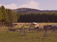 Cabana Haiducului - alloggio in  Valea Doftanei (05)