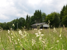 Cabana Haiducului - alloggio in  Valea Doftanei (12)