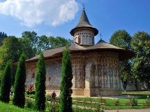 Casa de vacanta Didi - cazare Gura Humorului, Voronet, Bucovina (08)