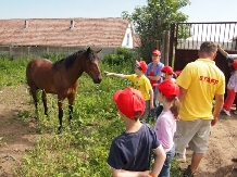 Ferma Scoala Cornatel - accommodation in  Transylvania (14)