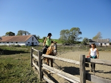 Ferma Scoala Cornatel - alloggio in  Transilvania (16)