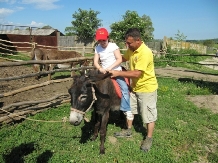 Ferma Scoala Cornatel - accommodation in  Transylvania (18)