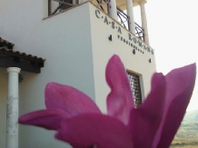 Casa Romana - cazare Apuseni (14)