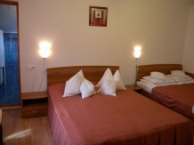 Pensiunea Family Praid - accommodation in  Harghita Covasna, Sovata - Praid (07)