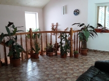 Pensiunea Valea Brazilor - accommodation in  Apuseni Mountains, Motilor Country, Arieseni (31)