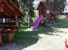 Pensiunea Valea Brazilor - accommodation in  Apuseni Mountains, Motilor Country, Arieseni (41)