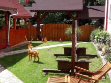 Pensiunea Valea Brazilor - accommodation in  Apuseni Mountains, Motilor Country, Arieseni (47)