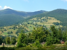 Pensiunea Valea Brazilor - accommodation in  Apuseni Mountains, Motilor Country, Arieseni (50)