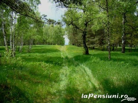 Pensiunea Sfanta Maria - cazare Harghita Covasna (Activitati si imprejurimi) Pensiunea Sfanta Maria - cazare Harghita Covasna (Activitati si imprejurimi)