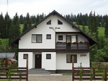 Vila Irina - accommodation in  Vatra Dornei, Bucovina (01)