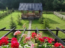 Vila Irina - alloggio in  Vatra Dornei, Bucovina (04)