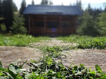 Vila Irina - alloggio in  Vatra Dornei, Bucovina (18)