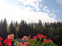 Vila Irina - alloggio in  Vatra Dornei, Bucovina (22)