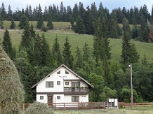 Vila Irina - cazare Vatra Dornei, Bucovina (24)