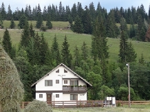 Vila Irina - alloggio in  Vatra Dornei, Bucovina (24)