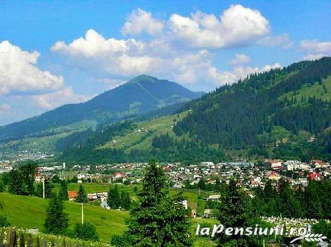 Vila Irina - accommodation in  Vatra Dornei, Bucovina (Surrounding)