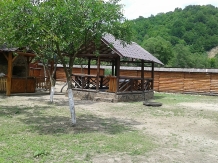 Vila Crista Voineasa - cazare Valea Oltului, Voineasa, Transalpina (03)