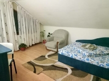 Vila Crista Voineasa - accommodation in  Olt Valley, Voineasa, Transalpina (46)