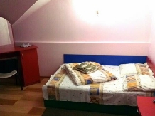 Vila Crista Voineasa - accommodation in  Olt Valley, Voineasa, Transalpina (47)