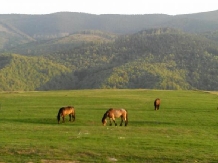 Casa de vacanta Orita - cazare Marginimea Sibiului (06)