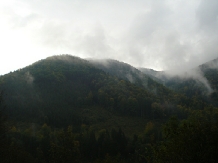 Valea Negrasului - alloggio in  Valea Doftanei (22)