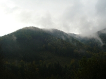 Valea Negrasului - cazare Valea Doftanei (22)