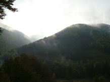 Valea Negrasului - alloggio in  Valea Doftanei (23)