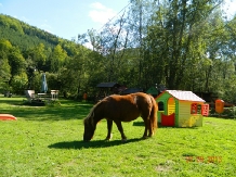 Valea Negrasului - alloggio in  Valea Doftanei (32)