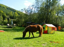 Valea Negrasului - cazare Valea Doftanei (32)