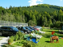 Valea Negrasului - alloggio in  Valea Doftanei (35)