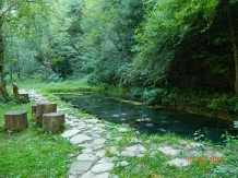 Valea Negrasului - alloggio in  Valea Doftanei (38)
