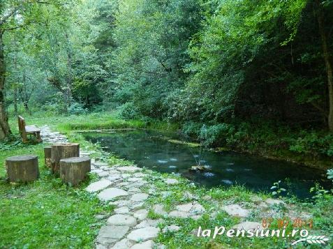 Valea Negrasului - accommodation in Valea Doftanei (Surrounding) Valea Negrasului - accommodation in Valea Doftanei (Surrounding)