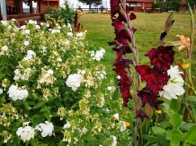 Cabanele FloriCrin - alloggio in  Apuseni, Belis (05)