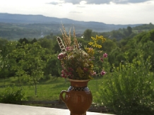 Pensiunea Valea Branzei - alloggio in  Tara Maramuresului (04)