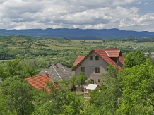 Pensiunea Valea Branzei - accommodation in  Maramures Country (06)