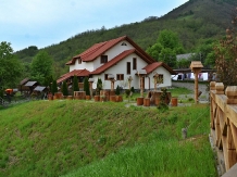 Pensiunea Valea Branzei - accommodation in  Maramures Country (15)
