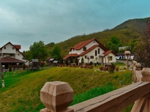 Pensiunea Valea Branzei - accommodation in  Maramures Country (23)