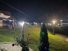 Pensiunea Valea Branzei - accommodation in  Maramures Country (28)