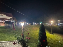 Pensiunea Valea Branzei - accommodation in  Maramures Country (30)