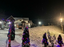 Pensiunea Valea Branzei - accommodation in  Maramures Country (32)