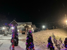 Pensiunea Valea Branzei - accommodation in  Maramures Country (33)