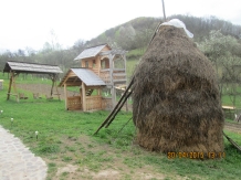 Pensiunea Valea Branzei - alloggio in  Tara Maramuresului (33)