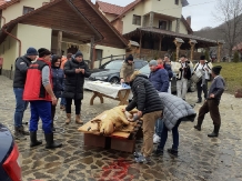 Pensiunea Valea Branzei - alloggio in  Tara Maramuresului (46)