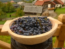 Pensiunea Valea Branzei - cazare Tara Maramuresului (83)