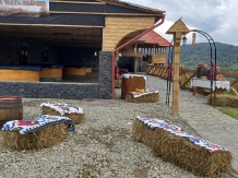Pensiunea Valea Branzei - accommodation in  Maramures Country (90)